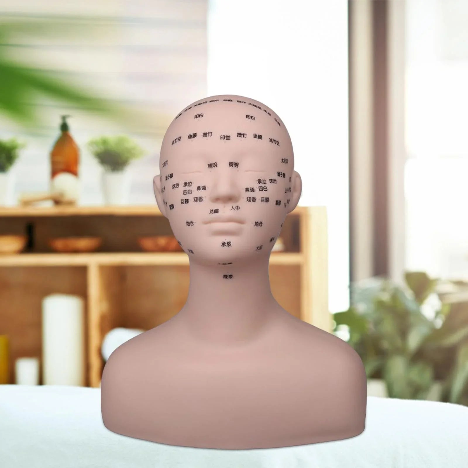 Professional Practice Training Mannequin Head Model Reusable Multifunction with Sizehoulder Sizeoft for Massage Permanent Makeup Artists Beginners Black