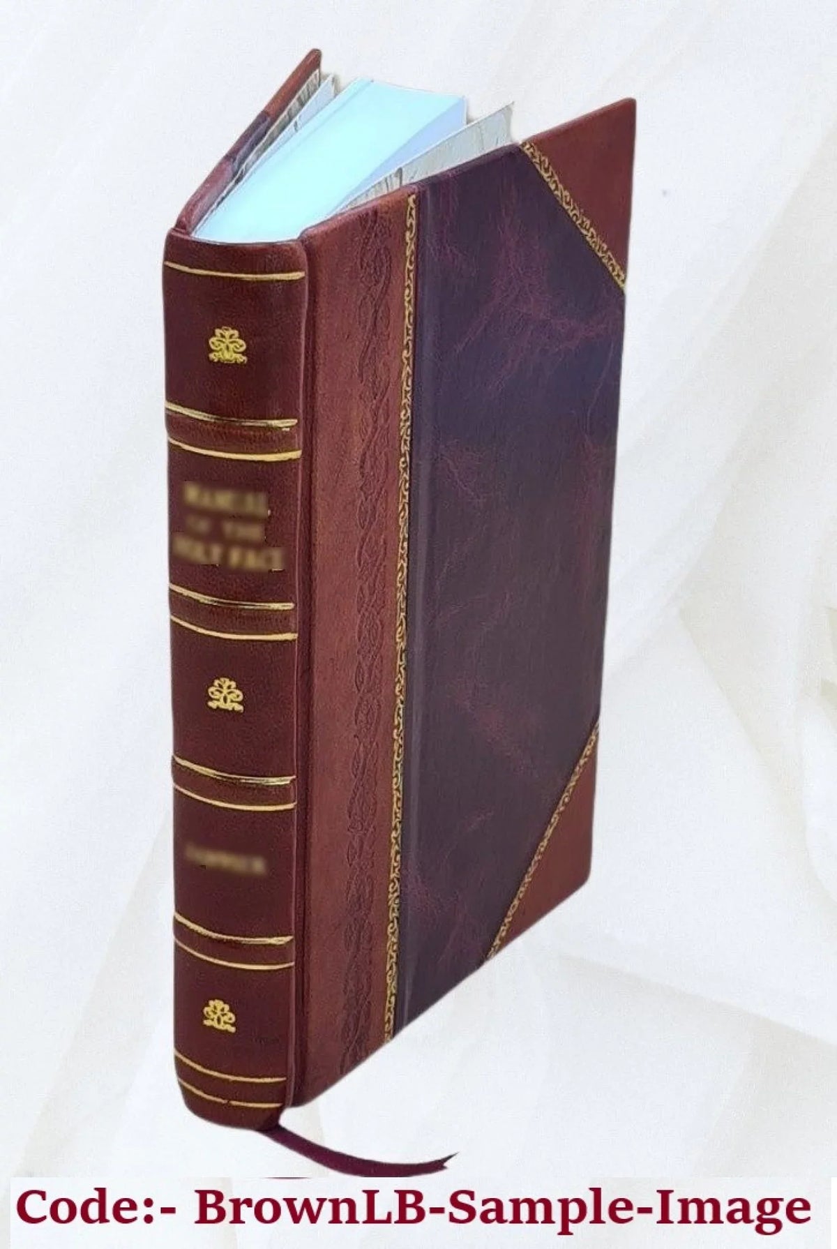 Elements of elocution : in which the principles of reading and speaking are investigated / by John Walker. 1799 [Leather Bound]