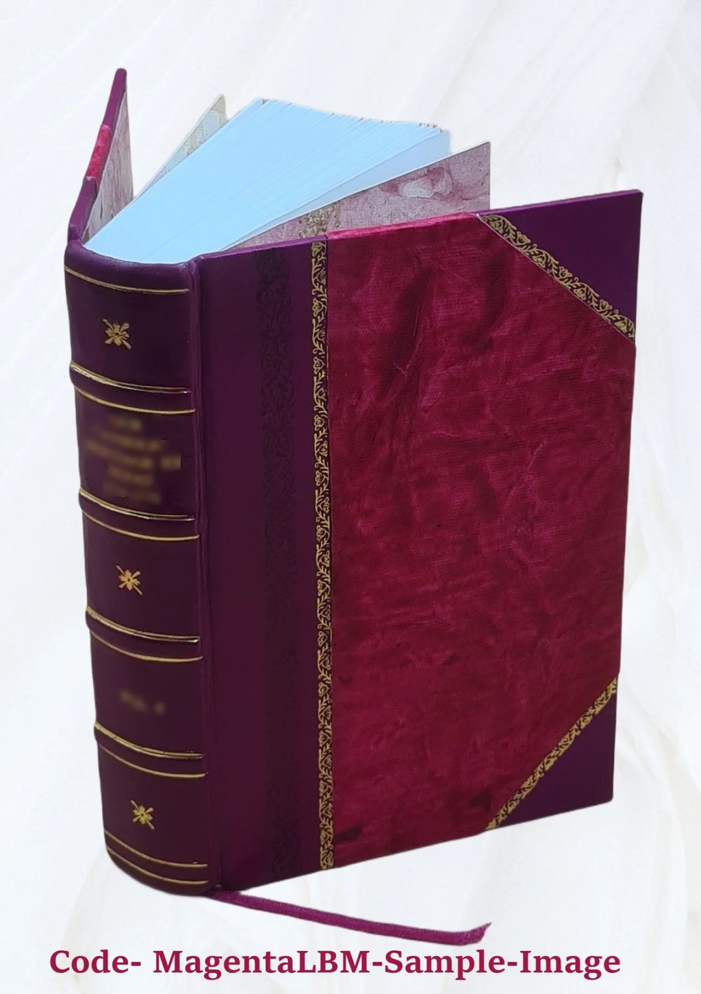 Reports from the Lords Committees Touching the Dignity of a Peer of the Realm, &c. &c. With appendixes. Vol. I-[V]. Volume v.4 appx.1 pt.2 1829 [Leather Bound]