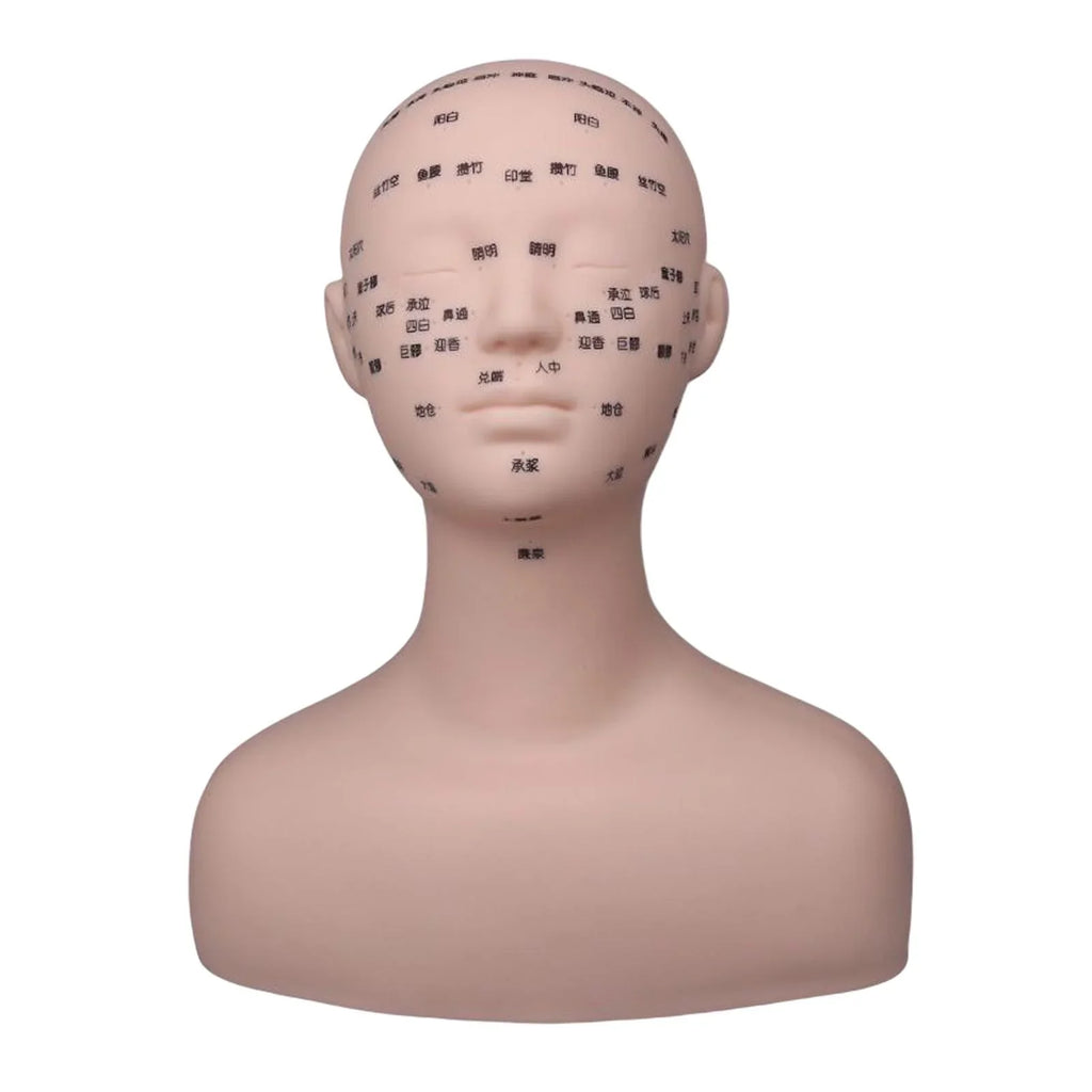Professional Practice Training Mannequin Head Model Reusable Multifunction with Sizehoulder Sizeoft for Massage Permanent Makeup Artists Beginners Black