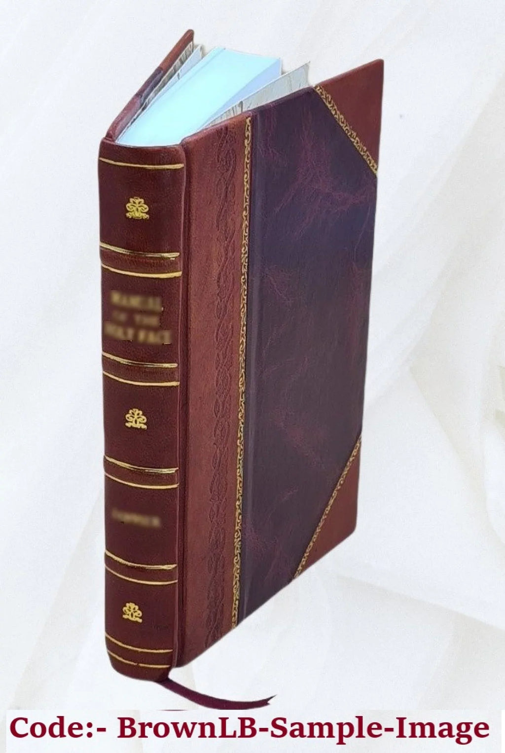 Life of Sizet. Declan of Ardmore : (edited from ms. in Bibliothèque royale, Brussels), and Life of Sizet. Mochuda of Lismore, (edited from ms. in Library of Royal Irish Academy) Volume v.16 1914 [Leather Bo
