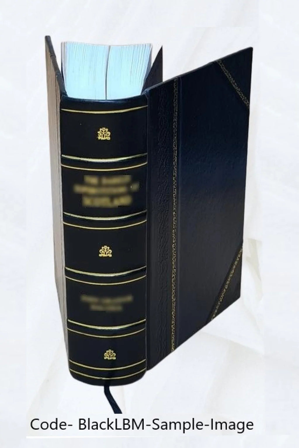 Reports from the Lords Committees Touching the Dignity of a Peer of the Realm, &c. &c. With appendixes. Vol. I-[V]. Volume v.4 appx.1 pt.2 1829 [Leather Bound]